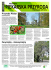 Przyroda Piekar - Piekarskie Stowarzyszenie Przyrodników Przyroda Piekar - Piekarskie Stowarzyszenie Przyrodników