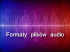 Formaty plików audio Formaty plików audio