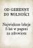 Od gehenny do wolności: największe lekcje 5 lat w