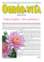 Nr 28. Październik 2009 - Ogród Botaniczny Uniwersytetu Nr 28. Październik 2009 - Ogród Botaniczny Uniwersytetu