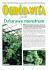 Nr 11. Lipiec 2007 - Ogród Botaniczny Uniwersytetu Wrocławskiego Nr 11. Lipiec 2007 - Ogród Botaniczny Uniwersytetu Wrocławskiego