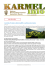KarmelInfo_61 - Karmelicibosi.pl KarmelInfo_61 - Karmelicibosi.pl
