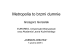 Metropolia to brzmi dumnie Metropolia to brzmi dumnie