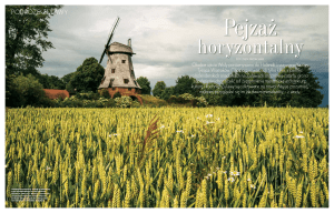 podróże: żuławy podróże: żuławy