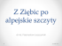 dr inż. Przemysław Leszczyński dr inż. Przemysław Leszczyński
