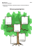 Drzewo genealogiczne Drzewo genealogiczne