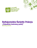 Program wakacyjnych praktyk ZHP - Betlejemskie Światło Pokoju Program wakacyjnych praktyk ZHP - Betlejemskie Światło Pokoju