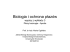 wykład 3 - Uniwersytet Wrocławski wykład 3 - Uniwersytet Wrocławski