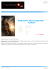 warcraft pack durotan - plakat warcraft pack durotan - plakat
