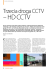 Od co najmniej 10 lat każda osoba związana z telewizją dozorową