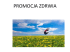 Promocja zdrowia Promocja zdrowia