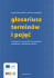 Angielsko-polski i polsko-angilski glosariusz terminow Angielsko-polski i polsko-angilski glosariusz terminow