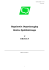 Regulamin Organizacyjny - Bank Spółdzielczy w Dębicy Regulamin Organizacyjny - Bank Spółdzielczy w Dębicy