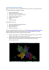 Format PDB (Protein Data Bank) Format PDB (Protein Data Bank)