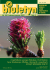 nowy-Biuletyn 1(41).p65 - Regionalna Dyrekcja Las&oacute;w
