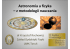 Astronomia a fizyka – z metodologii nauczania Astronomia a fizyka – z metodologii nauczania