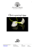 Oferta cenowa organizacji stypy | wersja PDF.