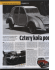 KAMIENIE MIL&Uuml;WE MOTORYZACJI CITROĘN ZCV