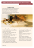 Oferta doradztwa biznesowego: Outsourcing Oferta doradztwa biznesowego: Outsourcing