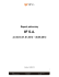 Raport półroczny IIF S.A. za okres 01.01.2012 Raport półroczny IIF S.A. za okres 01.01.2012