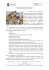 Artykuł do pobrania w formacie pdf Artykuł do pobrania w formacie pdf