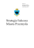 Strategia Sukcesu Miasta Przemyśla Strategia Sukcesu Miasta Przemyśla