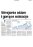Monitoring mediďż˝w