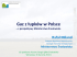 Gaz z łupków w Polsce - Forum Energia – Efekt – Środowisko Gaz z łupków w Polsce - Forum Energia – Efekt – Środowisko