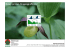 Nowy proces biogeograficzny