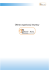 Oferta Animacji zabaw w formacie PDF