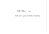 monet 5-l - Domy z Sercem