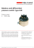 Relative and differential pressure switch type 630