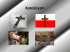 Katolicyzm / Catholicism Katolicyzm / Catholicism