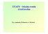 Extended X-ray Absorption Fine Structure (EXAFS) jako lokalna Extended X-ray Absorption Fine Structure (EXAFS) jako lokalna