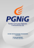 Skonsolidowane Sprawozdanie Finansowe GK PGNiG_2009 Skonsolidowane Sprawozdanie Finansowe GK PGNiG_2009