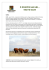 2 DNIOWE SAFARI – TSAVO EAST 2 DNIOWE SAFARI – TSAVO EAST