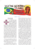 N&uacute;mero 4 &ndash; Numer 4 - Miss&atilde;o Cat&oacute;lica Polonesa no Brasil