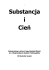 Substancja i Cień