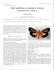 new birthana from taiwan - Association for Tropical Lepidoptera