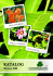 KATALOG Wiosna 2008 - Szkółka drzew, krzewów i bylin. B
