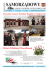 Nr. 3/2013 - Borek Wlkp