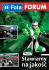 Fota Forum 3(30)