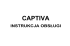 Captiva 2010
