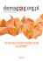 WYBORY PREZYDENCKIE RAPORT 2015