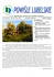 egzemplarz nr 1/2007 - powislelubelskie.pl