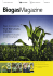 Biogaz, historia sukcesu Temat: Zbi&oacute;r kukurydzy na