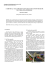 a critical analysis of sao paulo`s octavio frias de