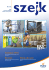 Szejk 3/2012 3(105) X 2012