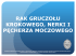 rak gruczołu krokowego, nerki i pęcherza moczowego - e