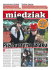 miedziak 94 2013